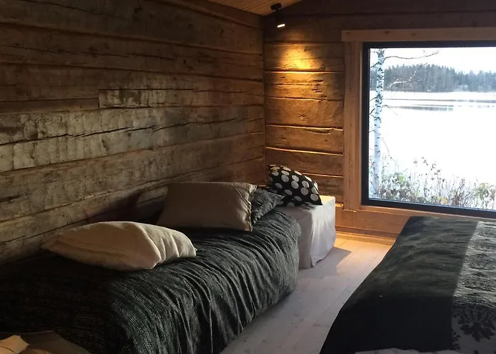 罗莫塔拉维克尼曼度假屋 *