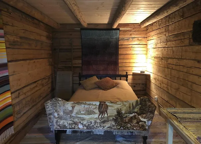 度假居 罗莫塔拉维克尼曼度假屋 *