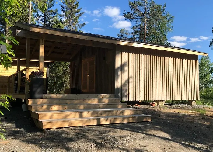 罗莫塔拉维克尼曼度假屋 度假居 *