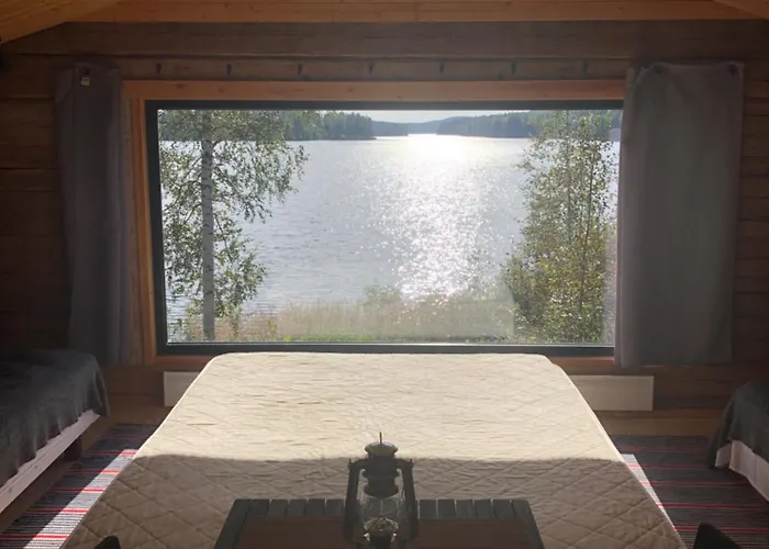 度假居 罗莫塔拉维克尼曼度假屋 *