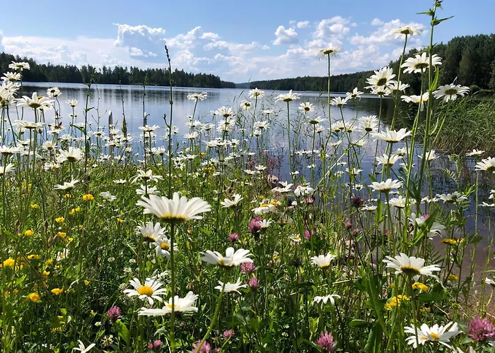 度假居 罗莫塔拉维克尼曼度假屋